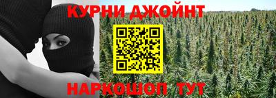 сатива Донской