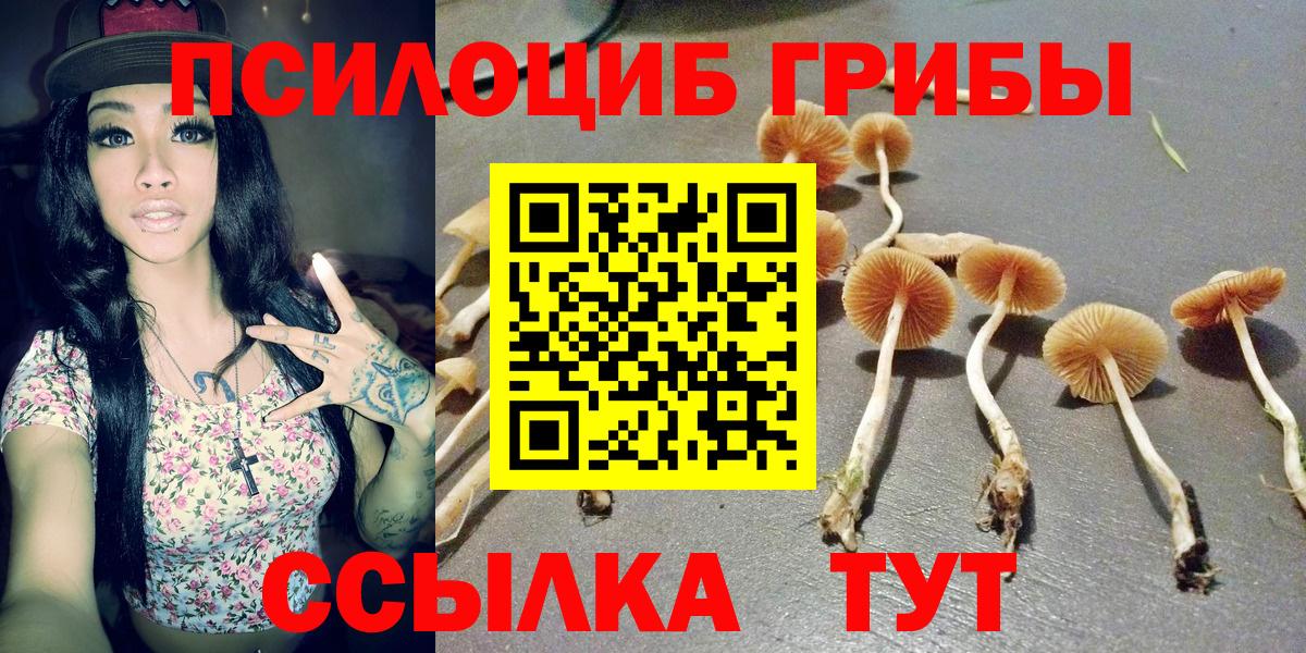 Мыски  Галлюциногенные грибы GOLDEN TEACHER  Вход с VPN 