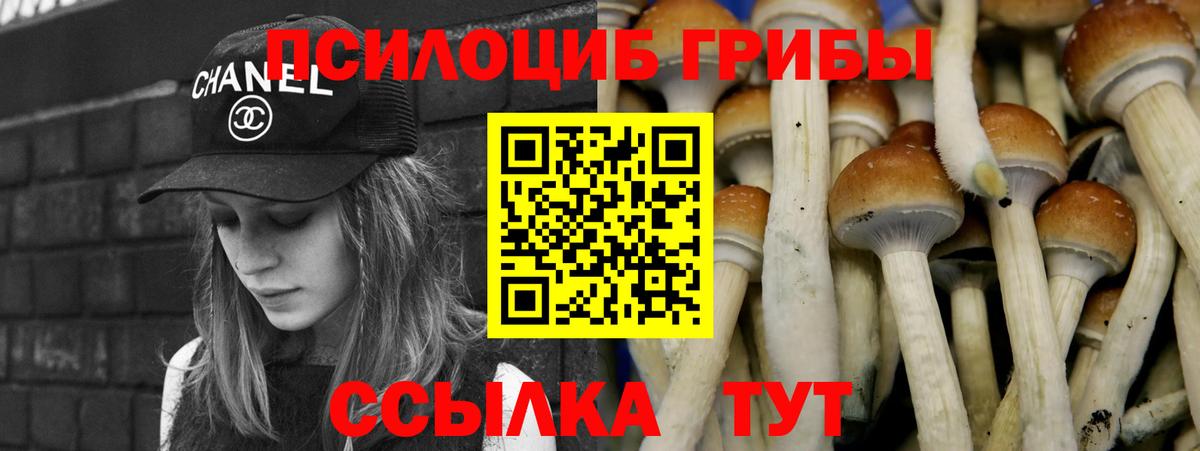 Псилоцибиновые грибы ЛСД Мыски