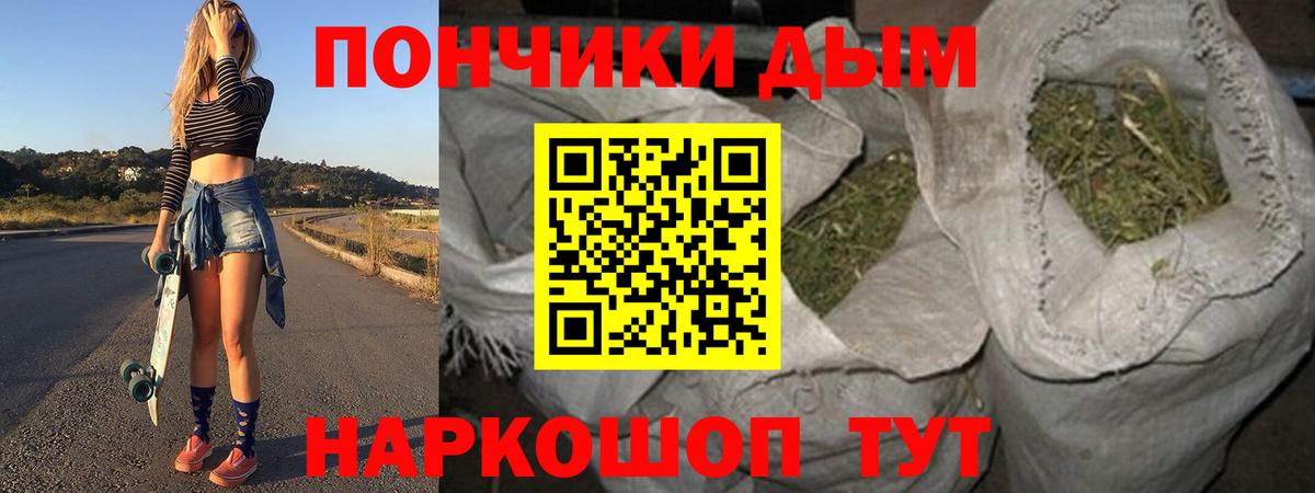 Марихуана сатива  Бошки марихуана AK-47  МАРИХУАНА AK-47  Мыски  Вход с VPN 